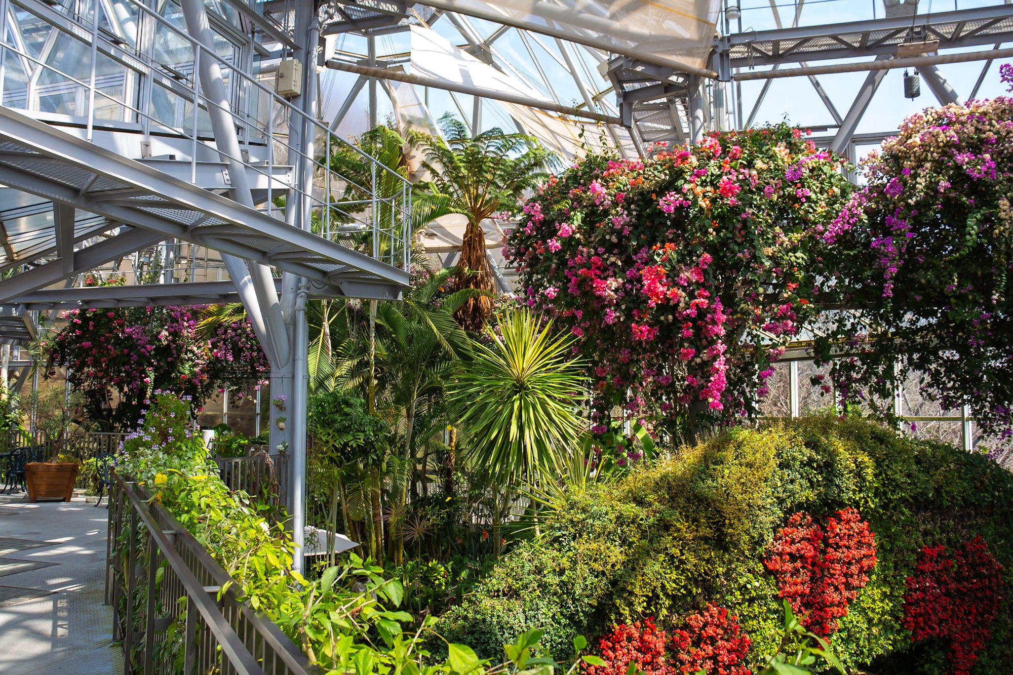 🌳 와카야마현 식물공원 녹화센터 이미지 4